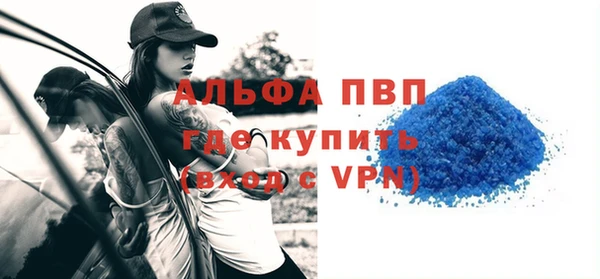 хмурый Корсаков