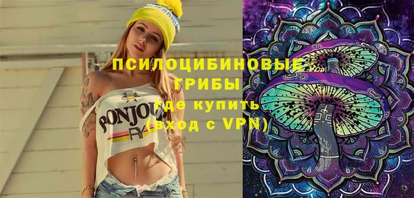 хмурый Корсаков