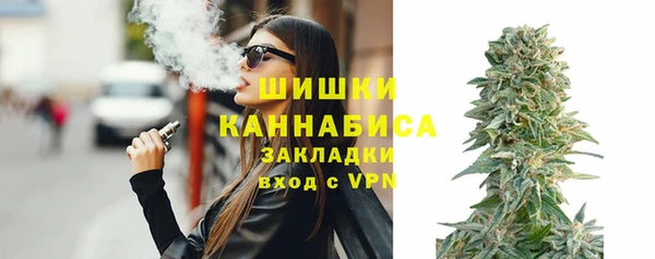 хмурый Корсаков