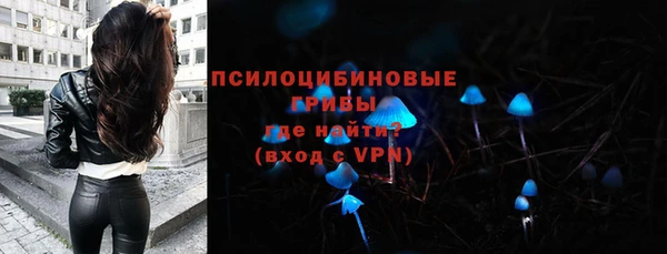 шишки Костерёво