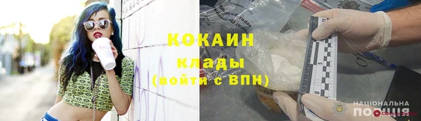 шишки Костерёво