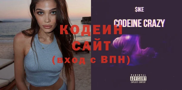 шишки Костерёво