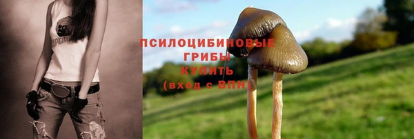 хмурый Корсаков