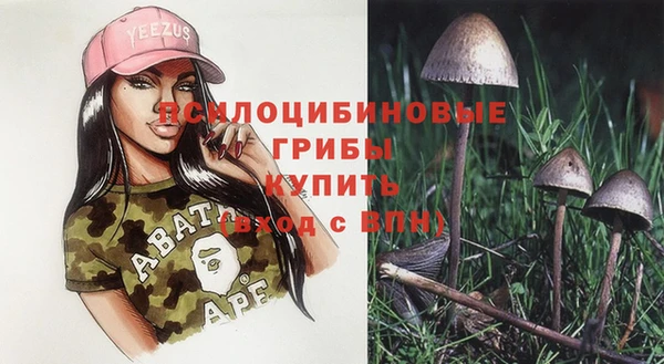 шишки Костерёво