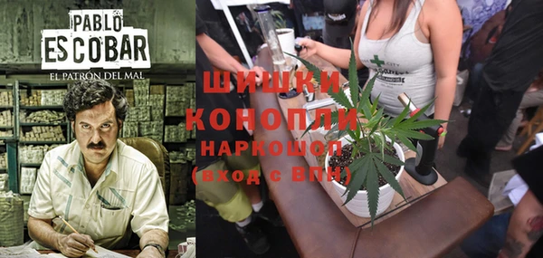 Альфа ПВП Коряжма
