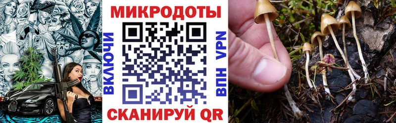 Купить закладки  Верхняя Салда  Галлюциногенные грибы прущие грибы 